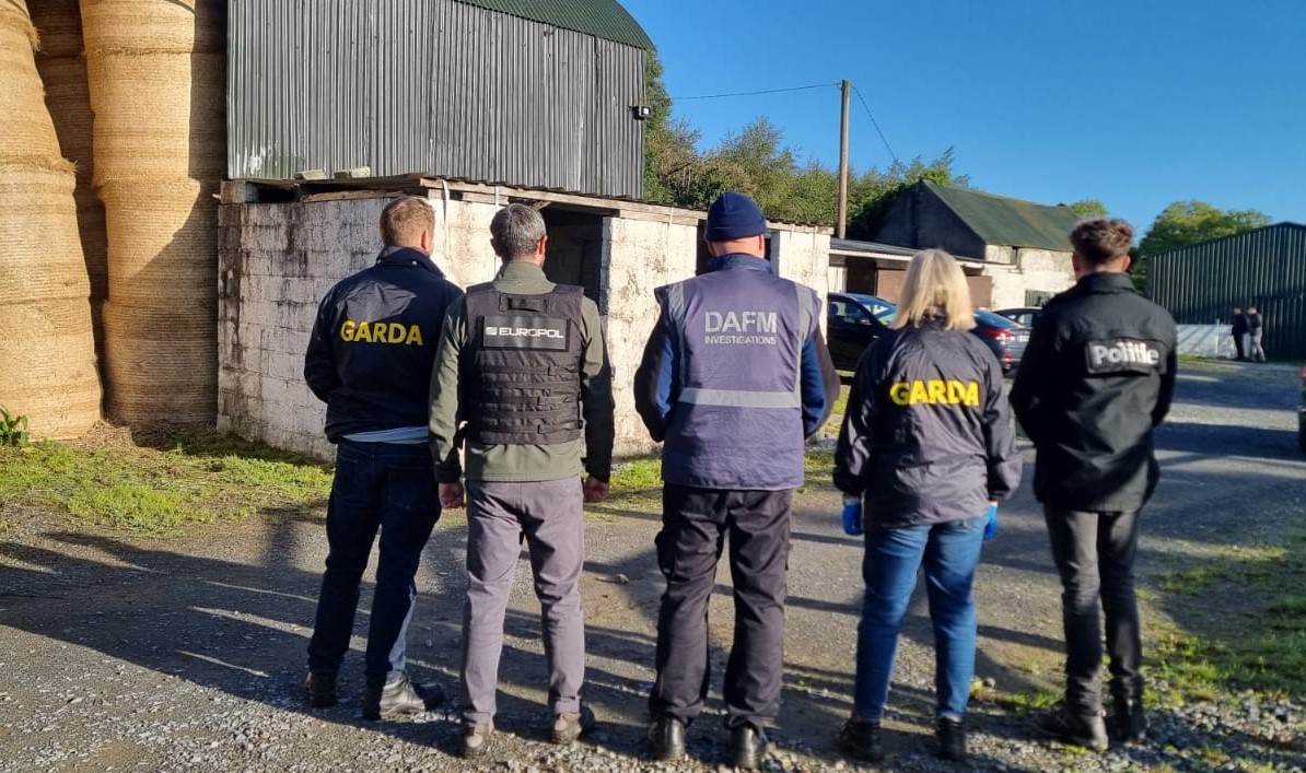 Gardaí join Europol in tackling large-scale European horse trafficking ring