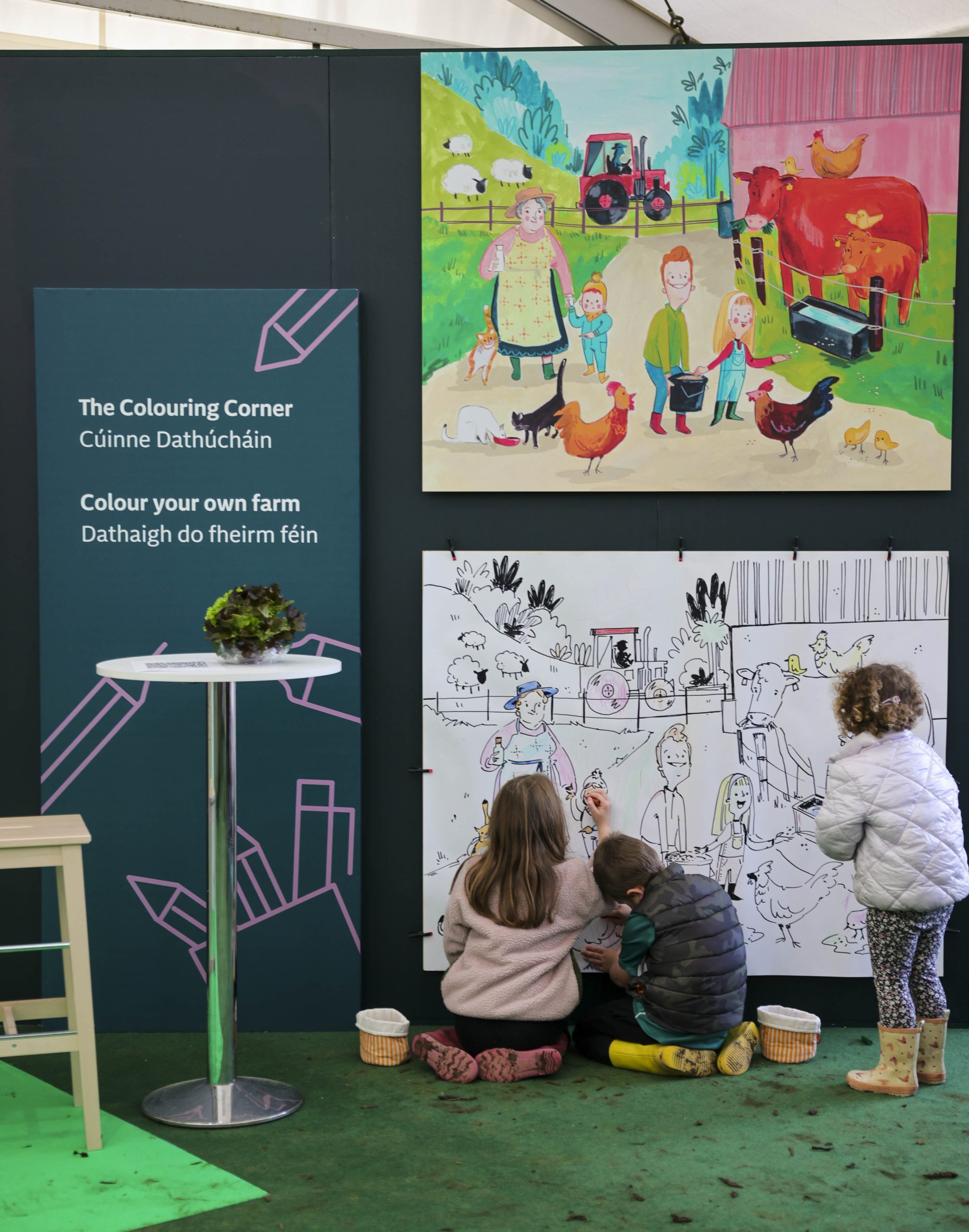 Bord Bia bringing insights, apps and family fun to Ploughing 2026