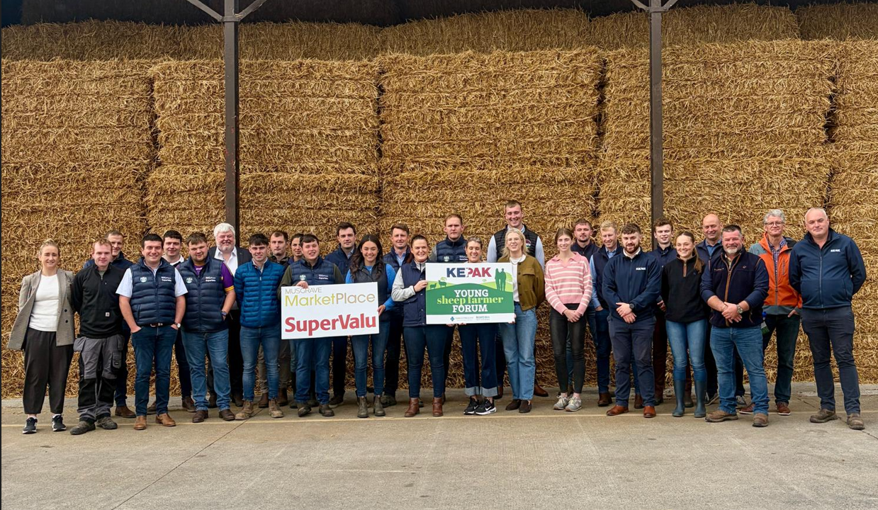 Young beef and sheep farmer KT group visits Kepak Farm and Grange