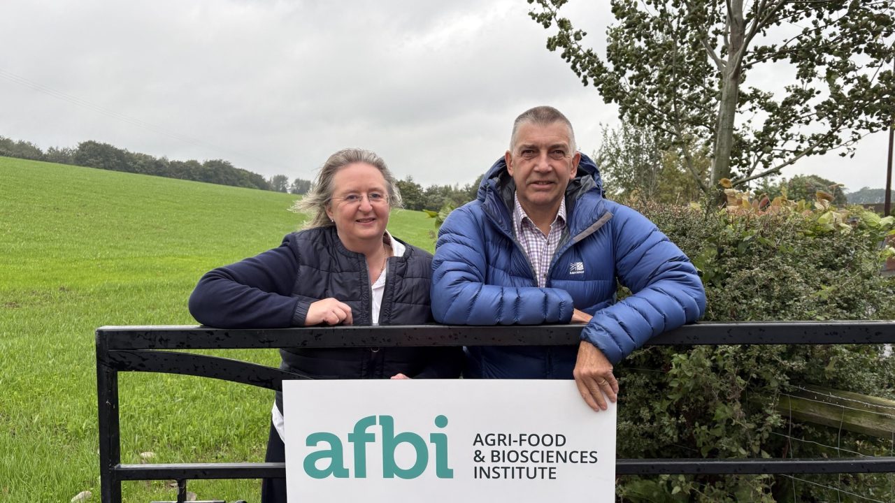 Deadline approaches for AFBI Farmers' Forum applications