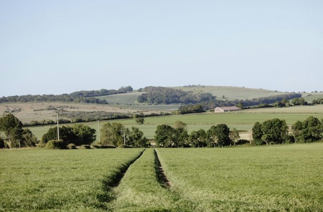 Farm safety seminar in Mallow to feature Teagasc and ESB experts
