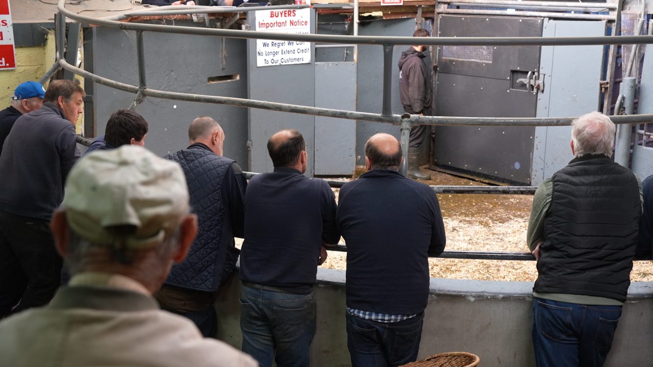 İrlanda’da Çiftçilerin Gündeminde Yakıt Maliyetleri Var