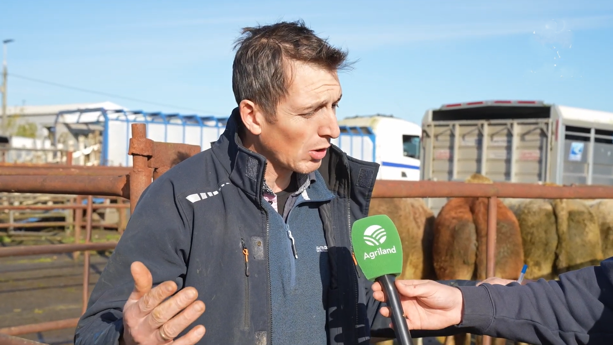 Watch: Ballymahon Mart manager on current cattle trade and outlook