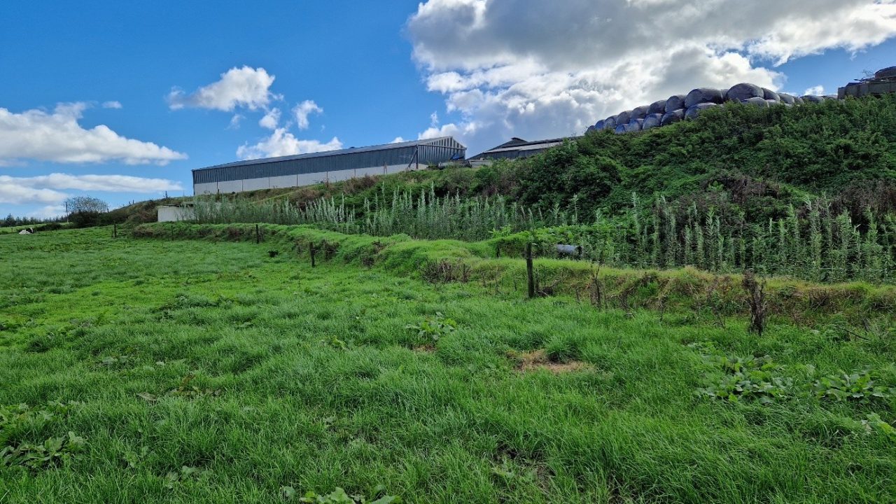 Farm focus: Waterford farmer leading the way to support water quality